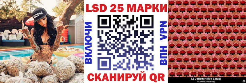 гидра ТОР Торопец Марки NBOMe 1,5мг наркотики
