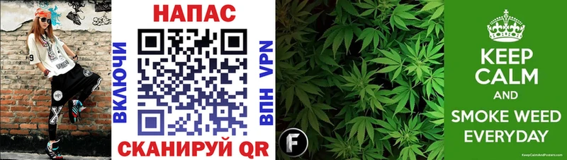 цены Торопец Бошки Шишки план